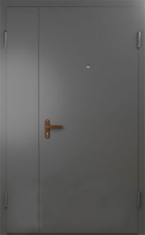 Фото двери «Техническая дверь №6 полуторная» в Дрезне